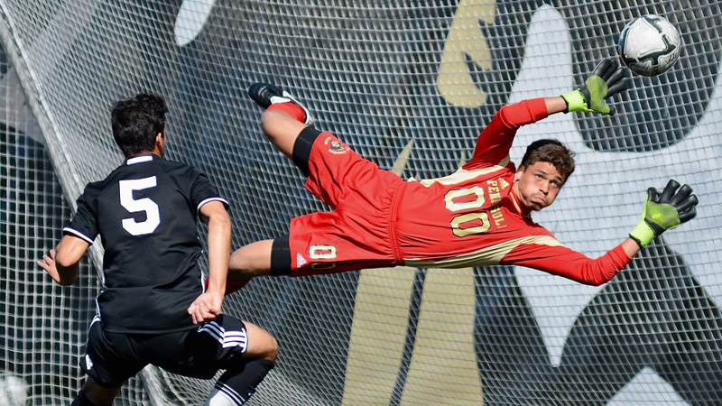 soccer goalie catching soccer ball